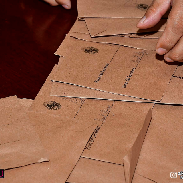 ELECCIONES_DAECPU_119